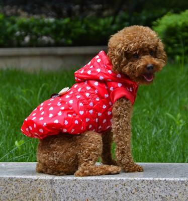 China Red and Blue jacket for pet clothes with ribbon decorative for sale