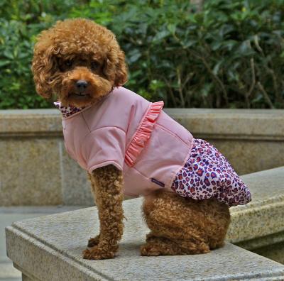 China Winter jacket dog clothes for sale