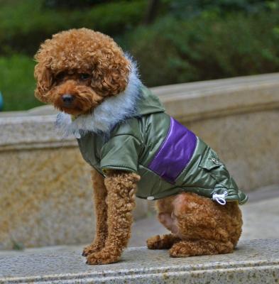 China Fashion dog clothes for winter jacket dog apparel for sale