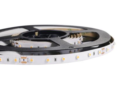 China Indoor & Outdoor Outdoor Home Relief Technology Co, Cheap Excellent Quality 60leds/m 12V 24v 3528 Ltd TDC Led Strip Light for sale