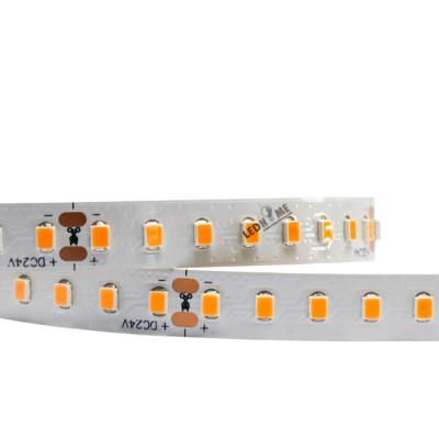 China LEDhome 2021 12V/24V 120LEDS/M Waterproof CCT LED Indoor Outdoor SMD2835 10-12mm Strip for sale