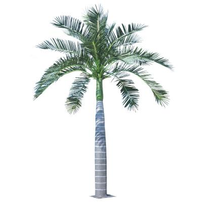 China Fiberglass made professional artistic artificial palm tree outdoor decorative artificia coconut palm tree for sale