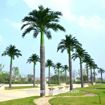 China Artistic near natural artificial royal coconut palm tree fiberglass tourist decoration for sale