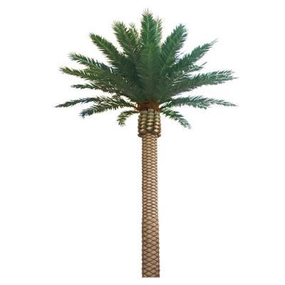 China Artistic hot sale date high quality outdoor artificial plastic palm tree large for sale