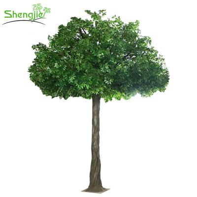 China Most Environmental/Easy Care/Factory Price Large Artificial Outdoor Ficus Tree Lifelike Ornament Banyan for sale