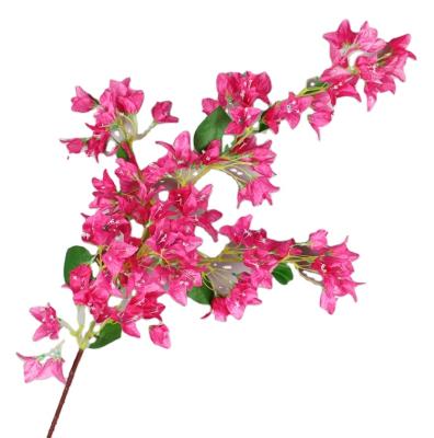 China Artificial Realistic Silk Flowers Bougainvillea Flower Tree For Wall Decoration for sale