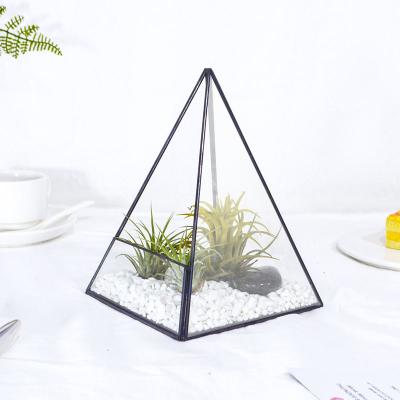 China Triangular Container Glass - Glass Decoration Eco - Friendly Material Creative Decoration for sale