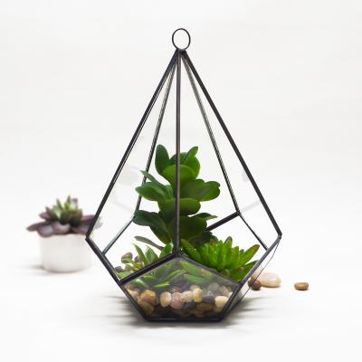 China Home Decoration Flower Potted Plant Glass Container, Creative Decoration Succulent Greenhouse for sale