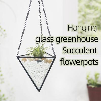 China Home decoration the balcony hangs the plant glass container, decorate the plant flower room for sale