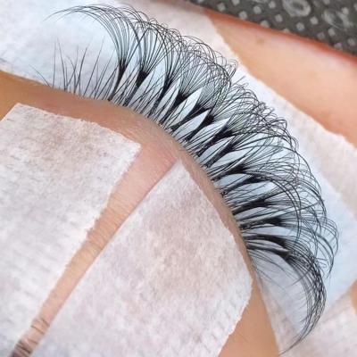 China Free Sample Long Volume Natural Eyelash Extension Easy Fan, Individual Lashes Extension, Easy Fanning Blooming Eyelash Extensions for sale