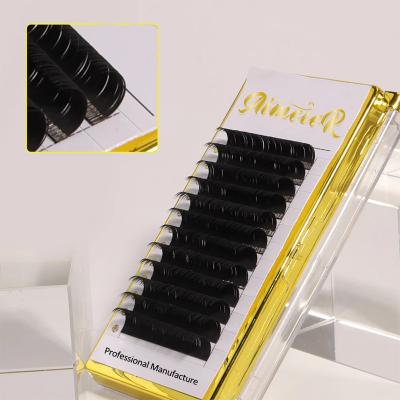 China Fan Eyelash Natural Soft Easy Custom Packing Individual Lashes Extension for sale