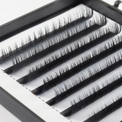 China Custom Long PBT Eyelash Extension Natural Top Quality Black Classic Lashes Custom Eyelash Boxes Different for sale