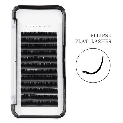 China Long Natural Premium Quality All Size Flat Cashmere Ellipse Eyelash Extension With Different Features for sale