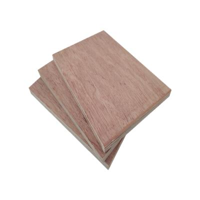 China 18mm 1220*2440mm modern poplar core plywood with wood veneer for sale