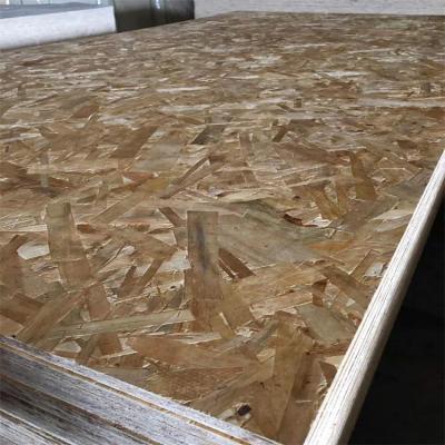 China Modern Waterproof Oriented Strand Board OSB OSB2 OSB3 For Building Furniture Wrapping for sale