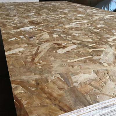 China modern waterproof OSB/OSB 9mm/12mm/16mm/18mm 2/OSB 3 for construction for sale