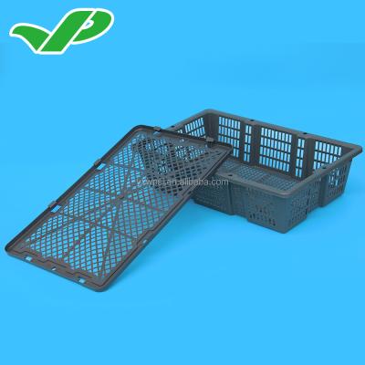 China Plastic Seafood Abalone /Seafood Basket (BYK-1) /turnover loading basket for sale