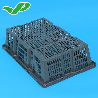 China Plastic Seafood Abalone /Oyster Basket (BYK-1) /turnover loading basket for seafood planting for sale