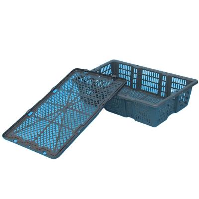 China Seafood Crates (BYK-1) /Plastic basket /turnover loading basket for seafood loading for sale