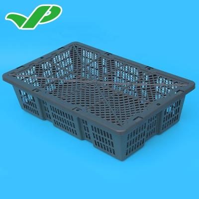 China Seafood Abalone /Oyster CRATES (BYK-1) /turnover loading basket for sale