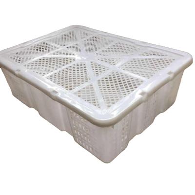 China White Plastic Fruit Loading Baskets With Lid Turnover Basket (SGK-1) / Seafood Loading Basket for sale