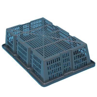 China Plastic Seafood Crates Abalone /Seafood Basket (BYK-1) /turnover loading basket for sale