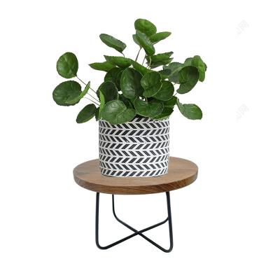 China Sustainable Indoor Round Plant Stand Decorative Flower Pot , Flower Pots With Stand for sale