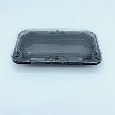 China Eco - Friendly Food Packaging Blister PET Disposable Frozen Beef Lamb Meat Plastic Food Tray for sale