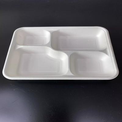 China Recycle Healthy Plastic Outdoor Styrofoam Foam Food Storage Takeaway Fast Food Container for sale