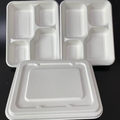 China Recycle Restaurant Eco Friendly Clear Biodegradable Outdoor Container Styrofoam Fast Food Outdoor for sale