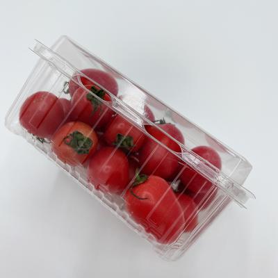 China High Quality Hot Sale Recyclable Clam Shell Vegetable Fruit Packaging Layout for sale