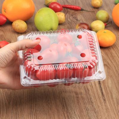 China Recyclable Supermarket Fruit Container Strawberry Blister Packing Disposable Fruit Tray for sale