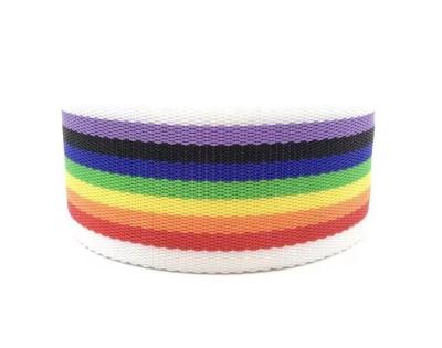 China Viable Manufacturers Custom Webbing Rainbow Polypropylene Ribbon 38 mm, 50 mm Custom Color PP Stripe Woven Ribbon for sale