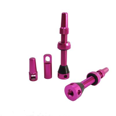 China ALUMIMUM China Manufacturer Cycling Bike Tire Valves Bicycle Tubeless Tire Valve for sale