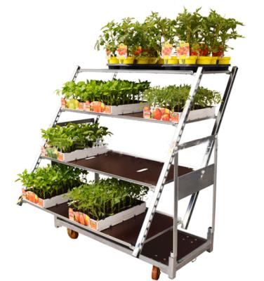 China Deploying Goods Greenhouse Cart Garden Flower Cart Rolling Cart Danish Garden Carrier for sale