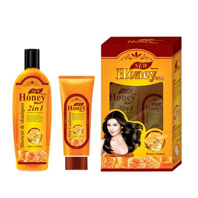 China Anti-Dandruff Roushun 2in1 Shower And Shampoo With Conditioner Gift Set Honey for sale