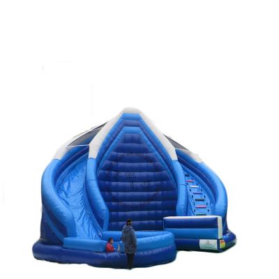 China PVC Kids Two Slides New Fashion Fun Inflatable Blue Inflatable Water Pool Slide for sale