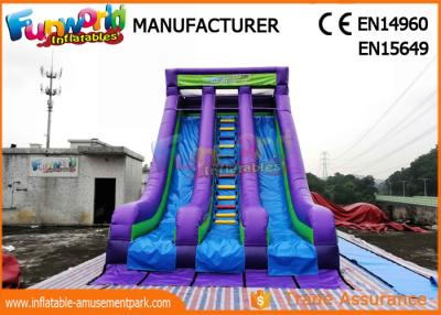 China Vertical Rish Commercial Inflatable Dry Slide For Outdoor Activity Waterproof for sale