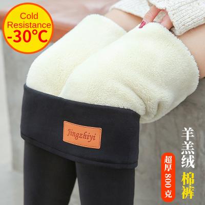 China High Waist Stretch Pants 800G Antibacterial Large Size Skinny Super Thick Antibacterial Cashmere Lambskin Warm Winter Women Cuffs for sale