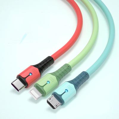 China Fanshion Hot Sale 5A Silicone LED Liquid Cord USB/Type-C/8 Micro Pin Charger Cable 3 in 1 USB Fast Charging Data Cable for iPhone 12 for sale