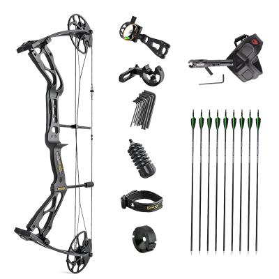 China Hunting Archery Hunting Compound Archery Outdoor Hunting Archery Set Compound Bow X8 Set for sale