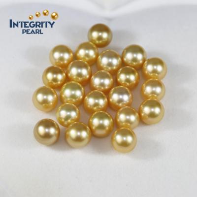 China South Sea Pearl Loose Bead 10-11mm AA+ Perfect Round Real Freshwater Gold Color for sale