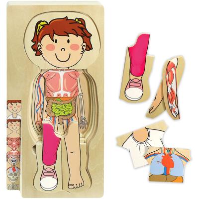 China Cartoon Toy Wooden My Body 3D Puzzle Montessori Educational Toys for Toddlers and Children - 29 Piece Girls Anatomy Game Set WD23017 for sale