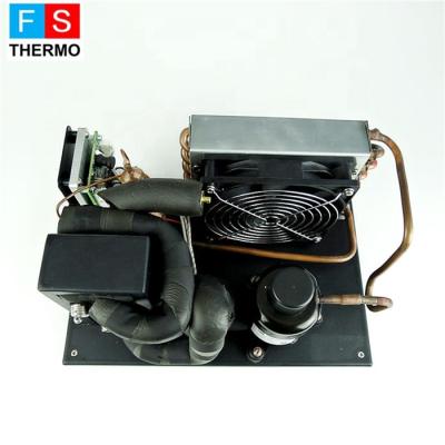 China Mini refrigeration parts r134a 24v 48v liquid chiller module for portable cooling system for sale