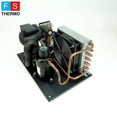 China Refrigeration Parts Mini Refrigeration Unit Liquid Chiller Module For Body Cooling System for sale