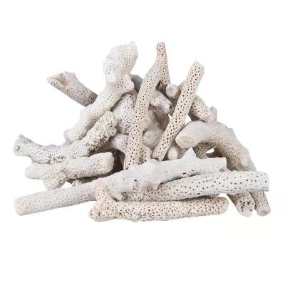 China Viable natural coral sand for aquarium filter media aquarium coral stone coral bone bottom sand for sale