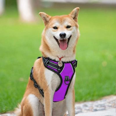 China Viable Wholesale Adjustable Dog Harnesses Set No Pulling Harnesses For Large And Small Dog for sale