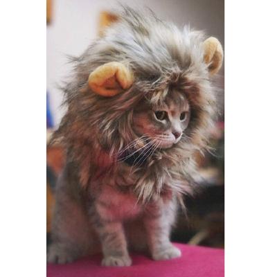 China Cat Wigs Lion Mane Wig Viable with Ears Like Hair Lion Costume Hat for Halloween and Cosplay Party for sale