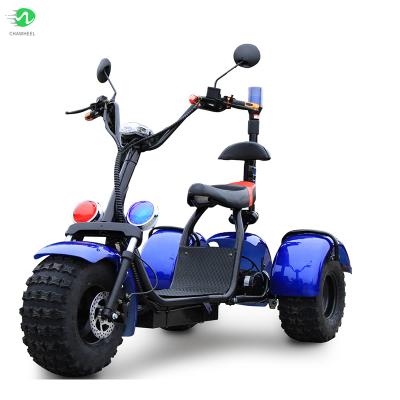 China 2021 New Model Citycoco 1500W 12Ah Unisex Battery Removable Scooter Electric Motorcycle T1 for sale