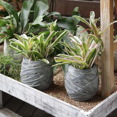 China Unique Novelty Design Flower Molds Concrete Planters Garden Ornament Flower Pots Planters for sale